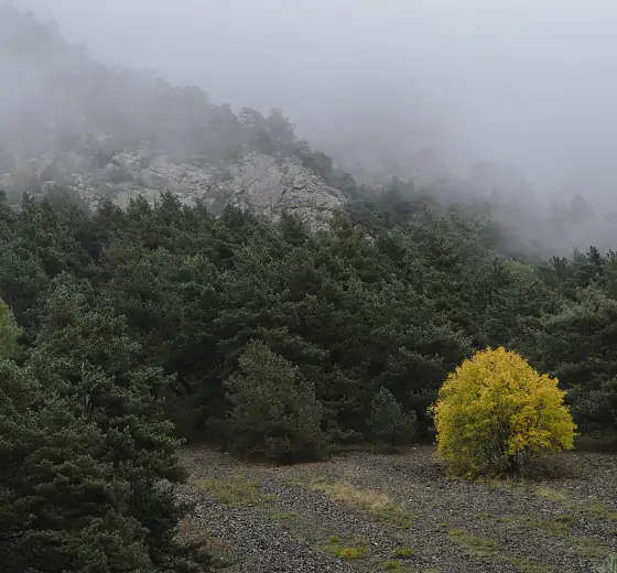 Фотографии
